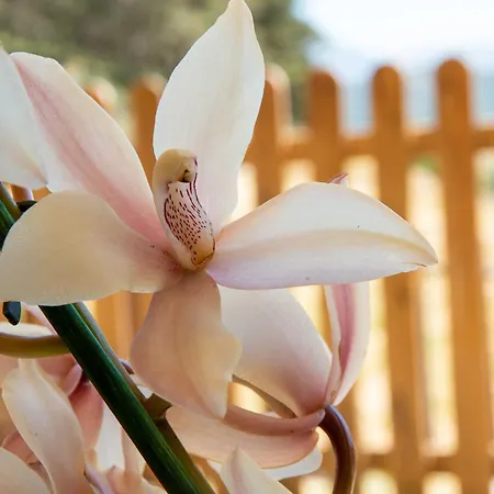 Rifugio La Principessa * Morano Calabro