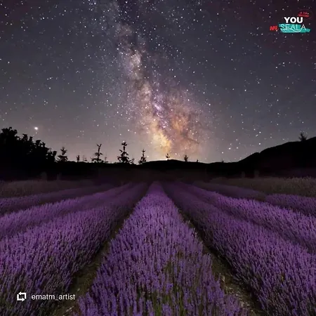 Отель Rifugio La Principessa