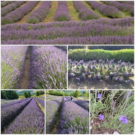 Rifugio La Principessa * Morano Calabro