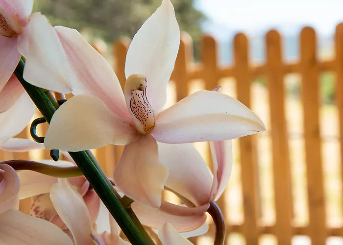 Rifugio La Principessa * Morano Calabro