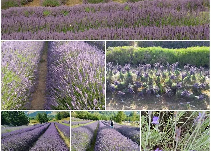 Rifugio La Principessa * Morano Calabro