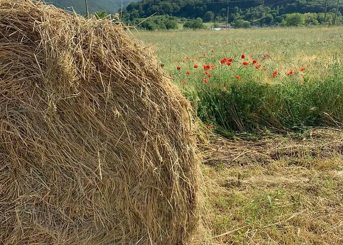 Rifugio La Principessa Hotel